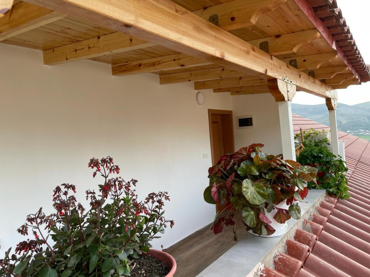 Guesthouse & Hospitality Berat Exterior photo