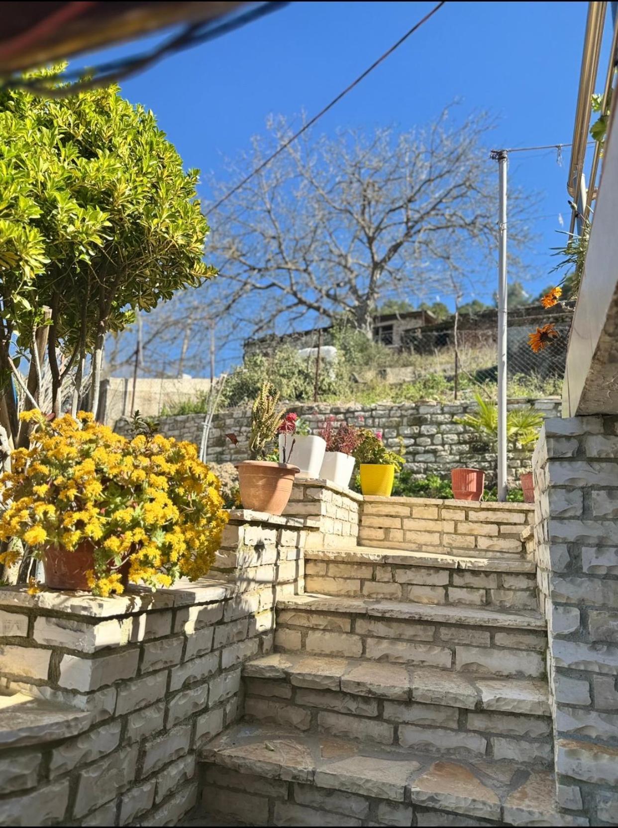 Guesthouse & Hospitality Berat Exterior photo